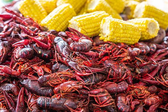 LSU Alumni Crawfish Boil